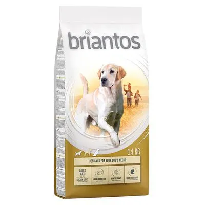 Saco de ração briantos para cães adultos, 14 kg. Texto visível: Adult Maxi, Chicken & Rice, Large Croquettes, No Trialling, Made in Germany.