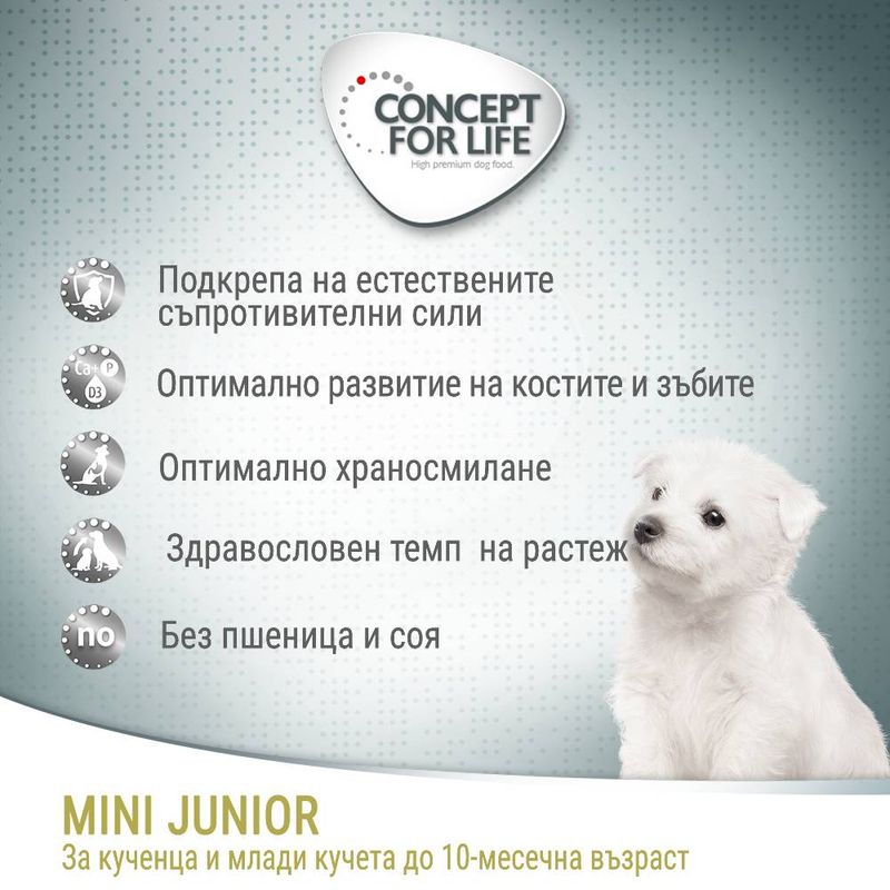 Concept for Life Mini Junior