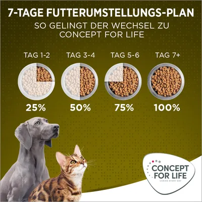 7-Tage Futterumstellungs-Plan: Tag 1-2 25%, Tag 3-4 50%, Tag 5-6 75%, Tag 7+ 100%. So gelingt der Wechsel zu Concept for Life. Logo unten rechts.
