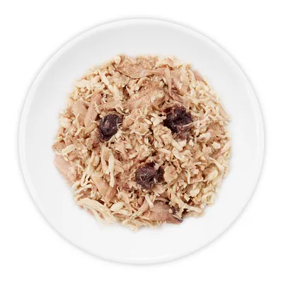 Porcija usitnjene mokre hrane za kućne ljubimce na bijelom tanjuru, vidljivi komadi mesa i tamnije mesne kuglice.