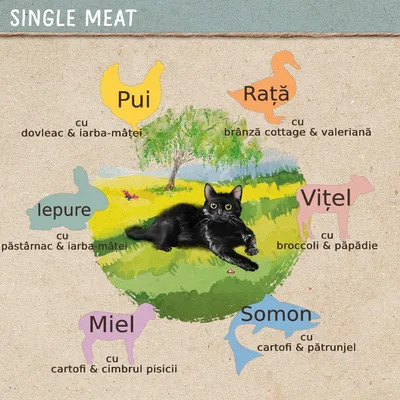 Single Meat: Pui cu dovleac & iarba-mâței, Rață cu brânză cottage & valeriană, Vițel cu broccoli & păpădie, Somon cu cartofi & pătrunjel, Miel cu cartofi & cimbrul pisicii, Iepure cu păstârnac & iarba-mâței.
