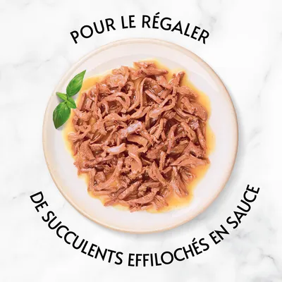 Texte : Pour le régaler, de succulents effilochés en sauce. Assiette avec morceaux effilochés en sauce et une feuille de basilic visible.