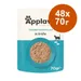 Икономична опаковка Applaws Cat Natural в бульон 48 x 70 г