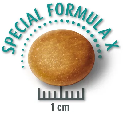 Kroketin kuva, jossa teksti 'Special Formula X' ja halkaisijamitta 1 cm.