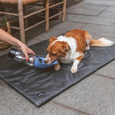 Nomad Tales Spirit 2-i-1 reiseflaske