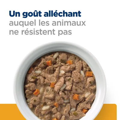 Texte : Un goût alléchant auquel les animaux ne résistent pas. Bol de nourriture humide avec morceaux de viande, carottes et riz visibles.