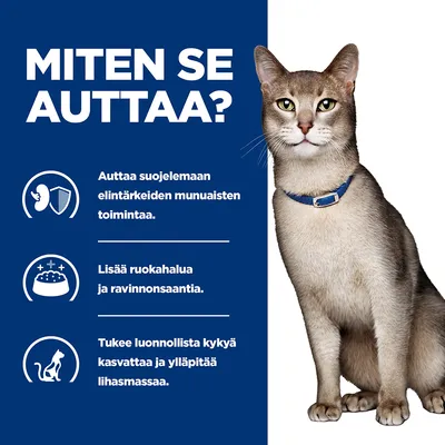 MITEN SE AUTTAA? Auttaa suojelemaan elintärkeiden munuaisten toimintaa. Lisää ruokahalua ja ravinnonsaantia. Tukee luonnollista kykyä kasvattaa ja ylläpitää lihasmassaa.