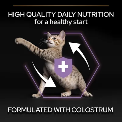 HIGH QUALITY DAILY NUTRITION for a healthy start. FORMULATED WITH COLOSTRUM felirat, cica, lila pajzs fehér kereszttel és nyilak. Az összes szöveg angolul látható.