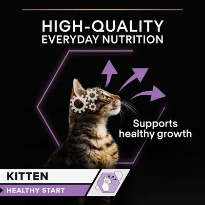 HIGH-QUALITY EVERYDAY NUTRITION, Supports healthy growth, KITTEN, HEALTHY START feliratok láthatók egy kiscica képe mellett, fogaskerekekkel és nyilakkal illusztrálva.