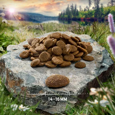 Pile of round brown kibble pieces displayed on a rock, with one piece shown separately and a size measurement indicating 14–16mm diameter.