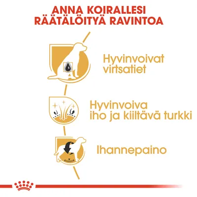 ANNA KOIRALLESI RÄÄTÄLÖITYÄ RAVINTOA. Hyvinvoivat virtsatiet, hyvinvoiva iho ja kiiltävä turkki, ihannepaino.