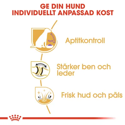 Ge din hund individuellt anpassad kost. Aptitkontroll, stärker ben och leder, frisk hud och päls.