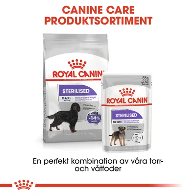 Royal Canin Sterilised torrfoder MAXI och våtfoder ALL SIZES för hund, text: CANINE CARE PRODUKTSORTIMENT. En perfekt kombination av våra torr- och våtfoder.