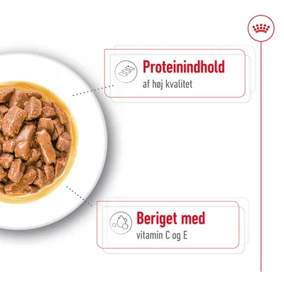 Skål med vådfoder. Tekst: Proteinindhold af høj kvalitet. Beriget med vitamin C og E.