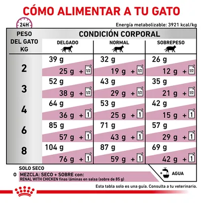 Tabla de alimentación para gatos según peso (2–8 kg) y condición corporal: delgado, normal, sobrepeso. Incluye cantidades en gramos y mezcla con sobres Renal with Chicken. Agua recomendada.