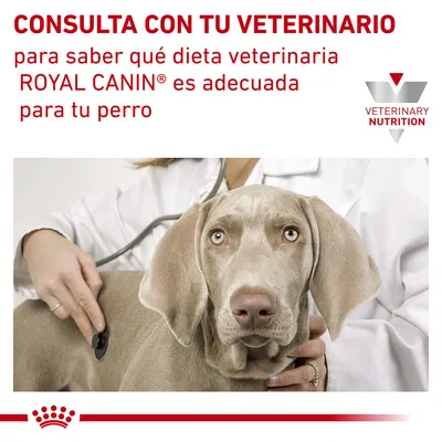 CONSULTA CON TU VETERINARIO para saber qué dieta veterinaria ROYAL CANIN es adecuada para tu perro. VETERINARY NUTRITION.