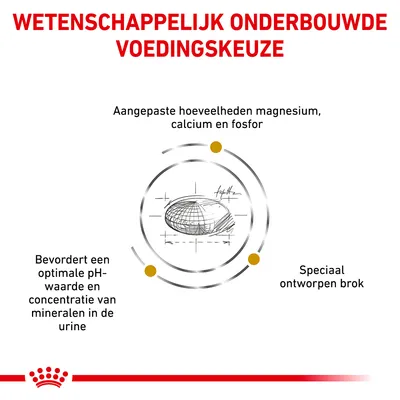 Wetenschappelijk onderbouwde voedingskeuze. Aangepaste hoeveelheden magnesium, calcium en fosfor. Bevordert optimale pH-waarde en mineralen in urine. Speciaal ontworpen brok.
