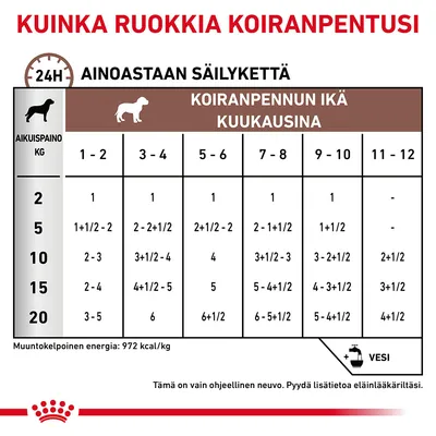 Ruokintaohje koiranpennulle: taulukko näyttää päivittäiset annokset aikuispainon (2–20 kg) ja iän (1–12 kk) mukaan. Vain säilykeruoka. Muuntokelpoinen energia 972 kcal/kg.