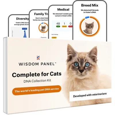 Wisdom Panel Complete for Cats DNA Collection Kit, showing features like breed mix detection, family tree, genetic diversity, and medical variant results. Developed with veterinarians.
