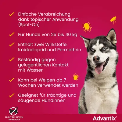 Advantix: Spot-On für Hunde 25-40 kg, enthält Imidacloprid und Permethrin, wasserbeständig, ab 7 Wochen, für trächtige/säugende Hündinnen, nicht bei Katzen anwenden. Advantix: Spot-On für Hunde 25-40 kg, enthält Imidacloprid und Permethrin, wasserbeständig, ab 7 Wochen, für trächtige/säugende Hündinnen, nicht bei Katzen anwenden.