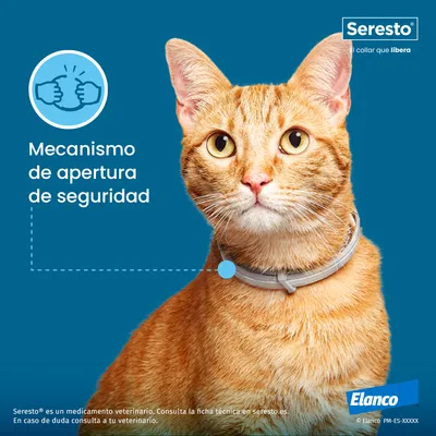 Gato con collar Seresto gris, texto: 'Mecanismo de apertura de seguridad'. Marcas visibles: Seresto, Elanco. Imagen destaca el mecanismo de seguridad del collar.