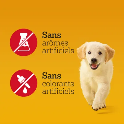Sans arômes artificiels. Sans colorants artificiels. Texte en français avec pictogrammes et chiot visible à droite sur fond jaune.