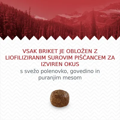 VSAK BRIKET JE OBLOŽEN Z LIOFILIZIRANIM SUROVIM PIŠČANCEM ZA IZVIREN OKUS s svežo polenovko, govedino in puranjim mesom