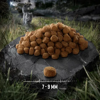 Haufen brauner Kroketten auf Stein, einzelne Krokette vorne mit Größenangabe 7-9 mm. Hintergrund zeigt Natur und eine Katze.