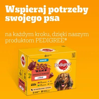 Wspieraj potrzeby swojego psa na każdym kroku, dzięki naszym produktom PEDIGREE. Opakowanie Pedigree Senior Gemischte Selektion in Gelee 12×100 g.