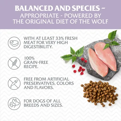 Text v angličtine: With at least 33% fresh meat, 100% grain-free recipe, free from artificial preservatives, colors and flavors, for dogs of all breeds and sizes. Zobrazené kuracie mäso, granule, maliny.