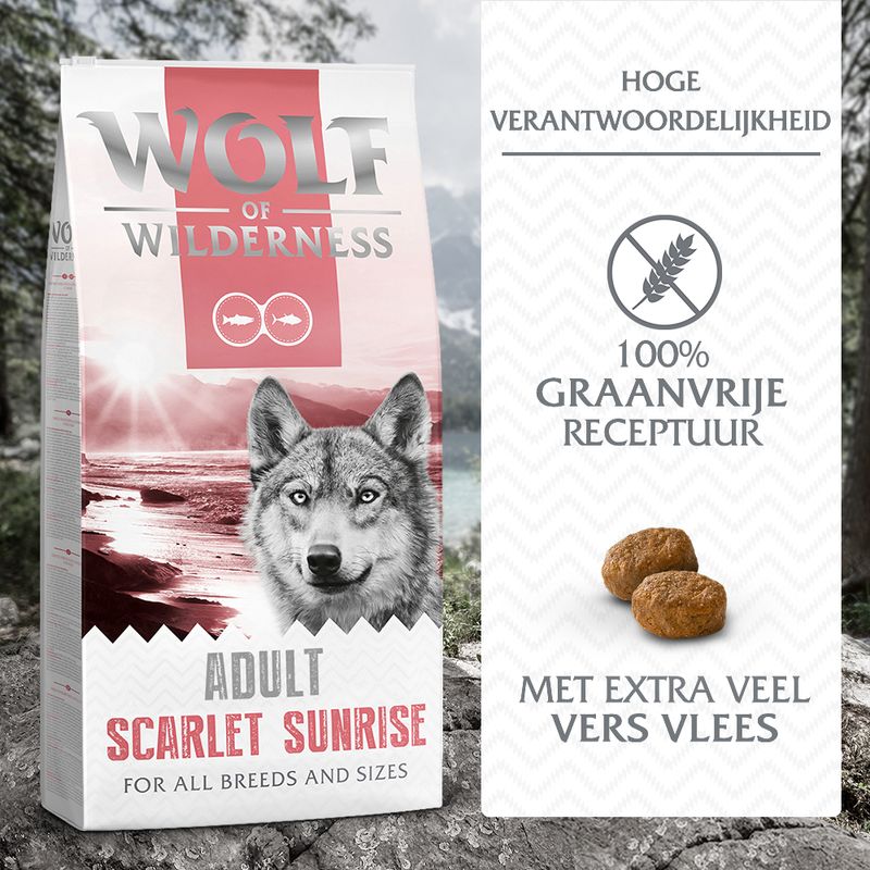 Wolf of Wilderness Adult 'Scarlet Sunrise' Hondenvoer met Zalm & Tonijn - Graanvrij