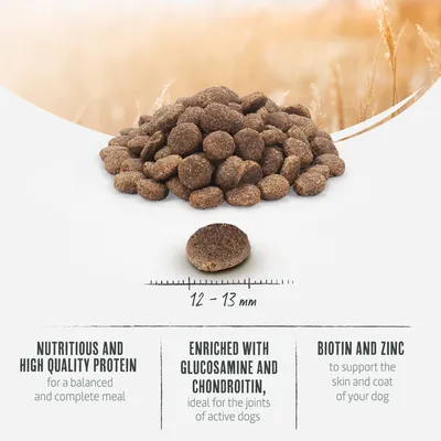 Dry food with 12-13 mm size, enriched with glucosamine and chondroitin for joints, biotin and zinc for skin and coat, and high-quality protein for a balanced diet.