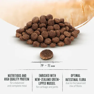 Dry food with 14-16 mm size, enriched with New Zealand green-lipped mussel for joints, high-quality protein for balanced nutrition, and fibre for optimal gut flora.