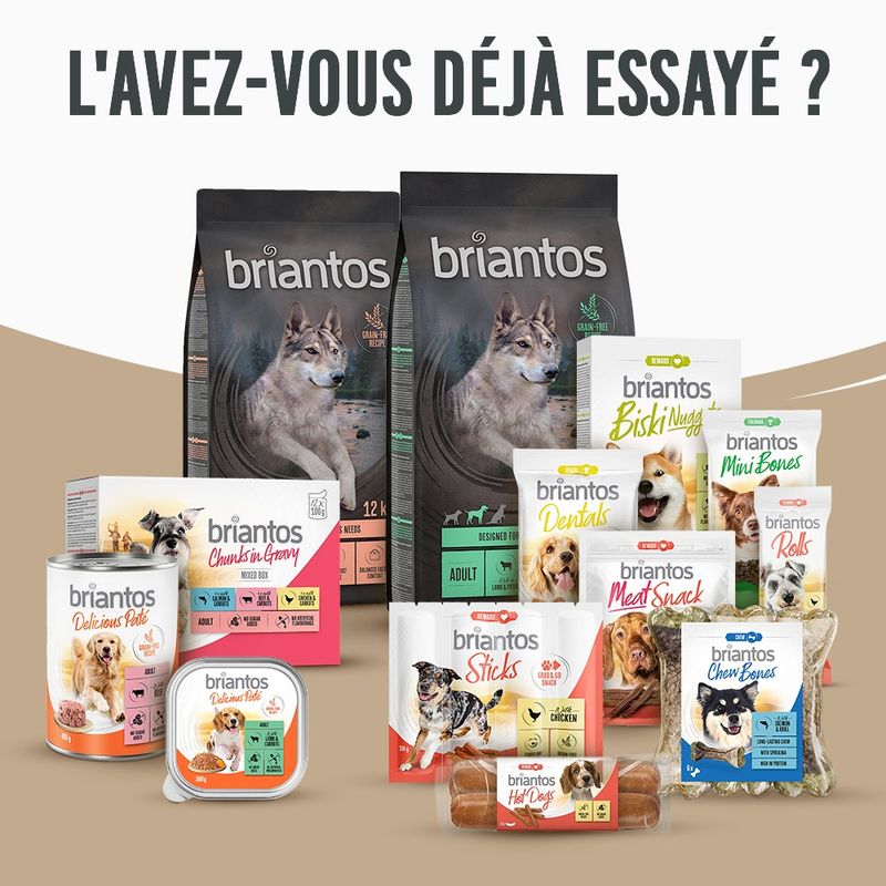 Briantos Adult Light Sterilised dinde & pommes de terre - SANS CÉRÉALES pour chien