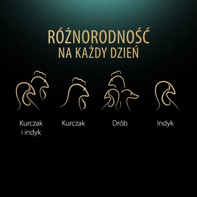 Różnorodność na każdy dzień. Kurczak i indyk, kurczak, drób, indyk – cztery warianty mięs widoczne na ilustracji z podpisami.