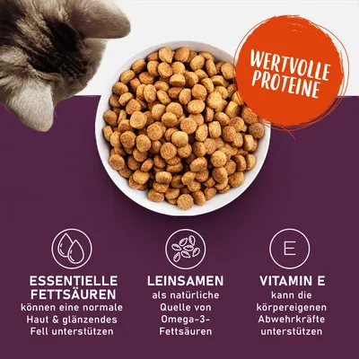 Trockenfutter in Schale. Essentielle Fettsäuren für Haut und Fell, Leinsamen als Omega-3-Quelle, Vitamin E zur Unterstützung der Abwehrkräfte. Wertvolle Proteine hervorgehoben.