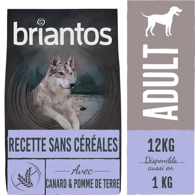 Briantos RECETTE SANS CÉRÉALES avec canard & pomme de terre, ADULT, sac 12 kg, disponible aussi en 1 kg. Image d’un chien devant un paysage naturel.