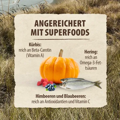 Purizon Superfoods Lachs Purizon Superfoods Lachs