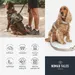 Nomad Tales Limited Edition Blush Dog Lead – Mocha