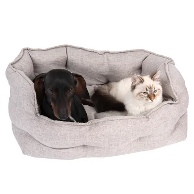 Dog and cat lying together in a grey, padded pet bed.