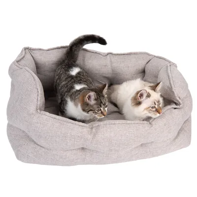 Two cats sitting in a light grey, padded pet bed with raised edge.
