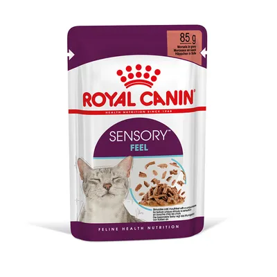 Sachet Royal Canin Sensory Feel pour chat, 85 g, morceaux en sauce. Image d’un chat gris et de la nourriture visible sur l’emballage. Texte : Feline Health Nutrition.