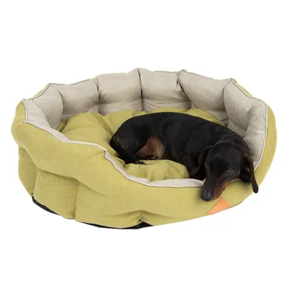 Hundeseng i stof med lysegul og beige polstring, sort/brun gravhund ligger i sengen. Ingen synlige mærker eller tekst.