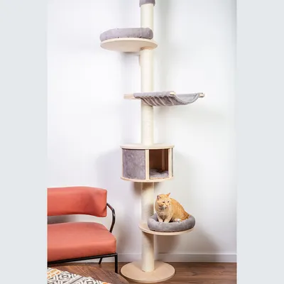 Cat tree made of wood with multiple levels, including resting platforms, hammock and cave. An orange cat is sitting on the lower platform.
