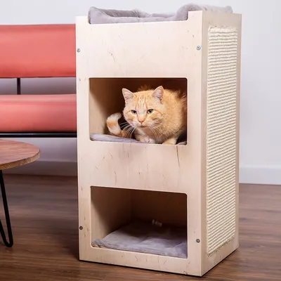 Tiragraffi in legno chiaro con due nicchie imbottite e un gatto arancione nella nicchia superiore, lato rivestito in corda per graffiare.