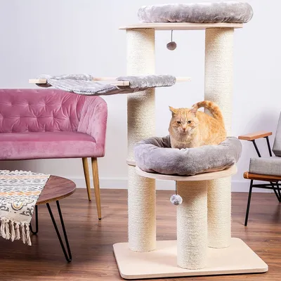 Tiragraffi per gatti con colonne in sisal, due letti imbottiti grigi, amaca e pallina appesa. Gatto arancione seduto su uno dei letti. Mobili visibili sullo sfondo.