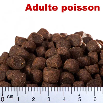 Croquettes avec texte visible « Adulte poisson » et règle en centimètres montrant la taille des croquettes, adaptées à l’alimentation de poissons adultes selon l’image.