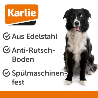 Gamelle en inox Karlie à motifs de pattes, noir pour chien