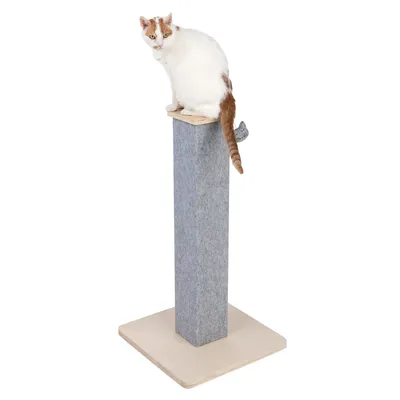 Kratzsäule mit grauem Filzbezug und Holzsockel, Katze sitzt oben auf der Plattform.