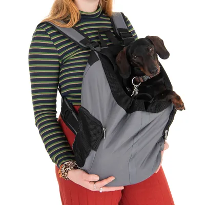 Zaino grigio per pet con tasche a rete, indossato da una persona. Un cane piccolo è seduto in sicurezza nello zaino e guarda fuori.